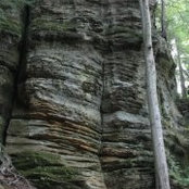 Brayton Pickard's photo