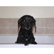 Lori Ann's photo