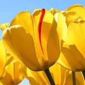 Christine Denniss's photo