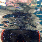 Keith Christiansen's photo