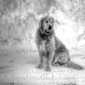 Melissa Roberts's photo