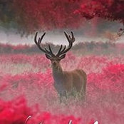Bernie Roberts's photo