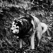 Foto von Helen Maxwell