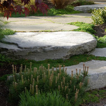 Updated landscape - shrubs and perennials