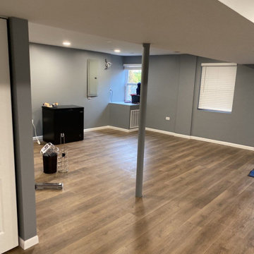 Lucille Ln Basement Remodel