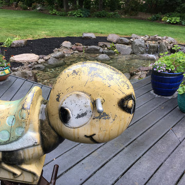 Out with the Old Pond in With The New