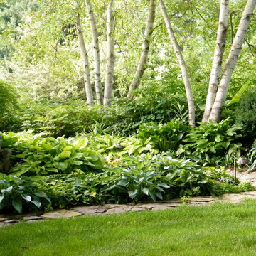 Old Farm Nursery: Display Gardens