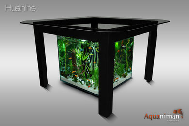 table haute aquarium