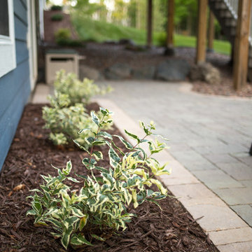 Weigela foundation planting