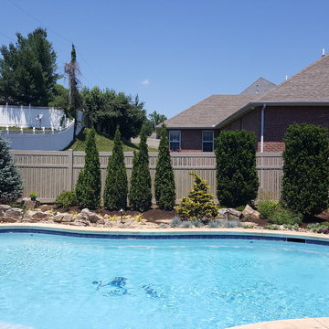 Backyard Oasis