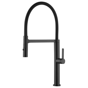 Dazzle Modern Kitchen Faucet With 2 Jets, Black