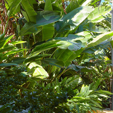 Palm Beach Clifftop Garden