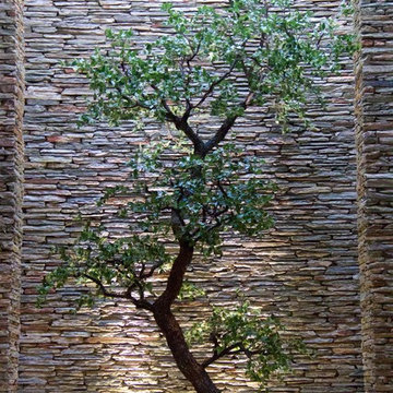 Davidson Atrium Tree
