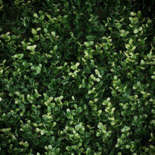 Faux Garden