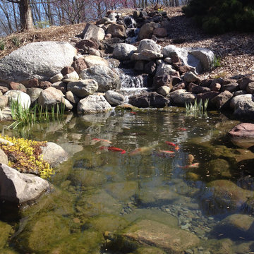Backyard Fish Pond and Waterfall