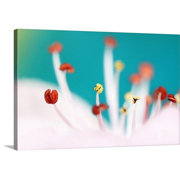 "Cherry Blossom" Wrapped Canvas Art Print, 36"x24"x1.5"