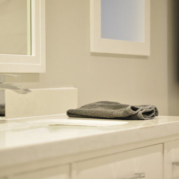 White Transitional Bathroom