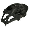 Black Saber Toothed Cat Skull Statue Small