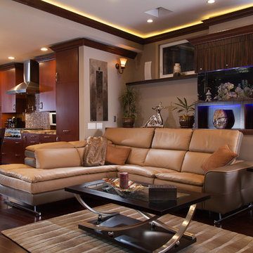 Laguna Beach Room Addition and Kitchen relocation