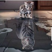 James Wuertenburg's photo