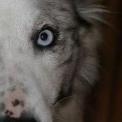 Brenda Riskey's photo