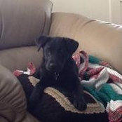 Nina Perrotti's photo