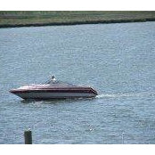 Michael Organski's photo