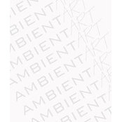 Ambient Art's photo