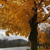 Rita Mantone's photo