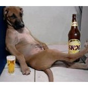 Foto von Lucy Vurro
