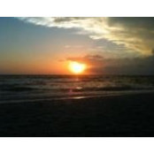 Frank Guido's photo