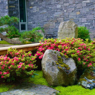 Moss gardens
