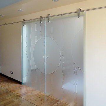 Amazing Etched Sliding Glass Barn Doors