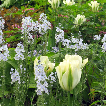 Great Plant Combos