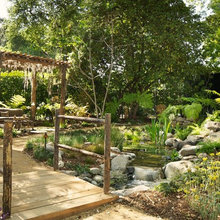 Pond/Waterfall