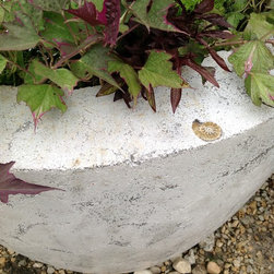 Large Concrete Drum Planters - Indoor Pots And Planters