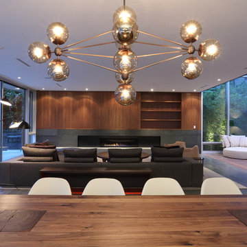 Point Grey Residence