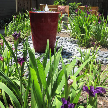 Modern with citrus and ornamental grasses.