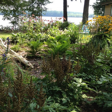 Landscapes - Natural,Sustainable & Functional