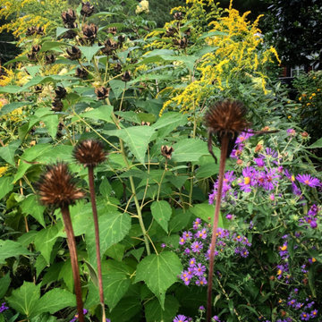 Front & Backyard Garden