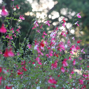 Geräumiger Eklektischer Gemüsegarten im Frühling mit direkter Sonneneinstrahlung und Natursteinplatten in Los Angeles