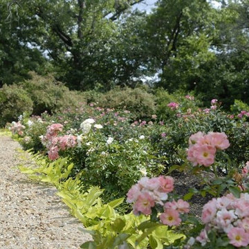 Specialty Gardening