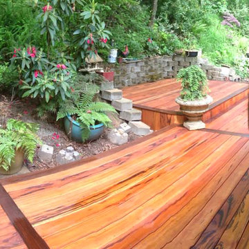 Tigerewood/Ipe' back yard