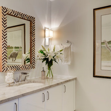 Contemporary Bathroom with Class - Wheaton, IL