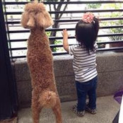 Yu Hsuan's photo