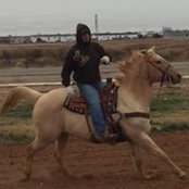 Andrew Barboza Jr's photo