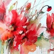 Farah Ghamrawi's photo