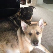 Tracy Gibbons's photo
