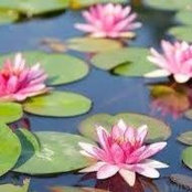 Chantal Cyr's photo