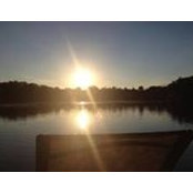 Beth Wilkinson's photo